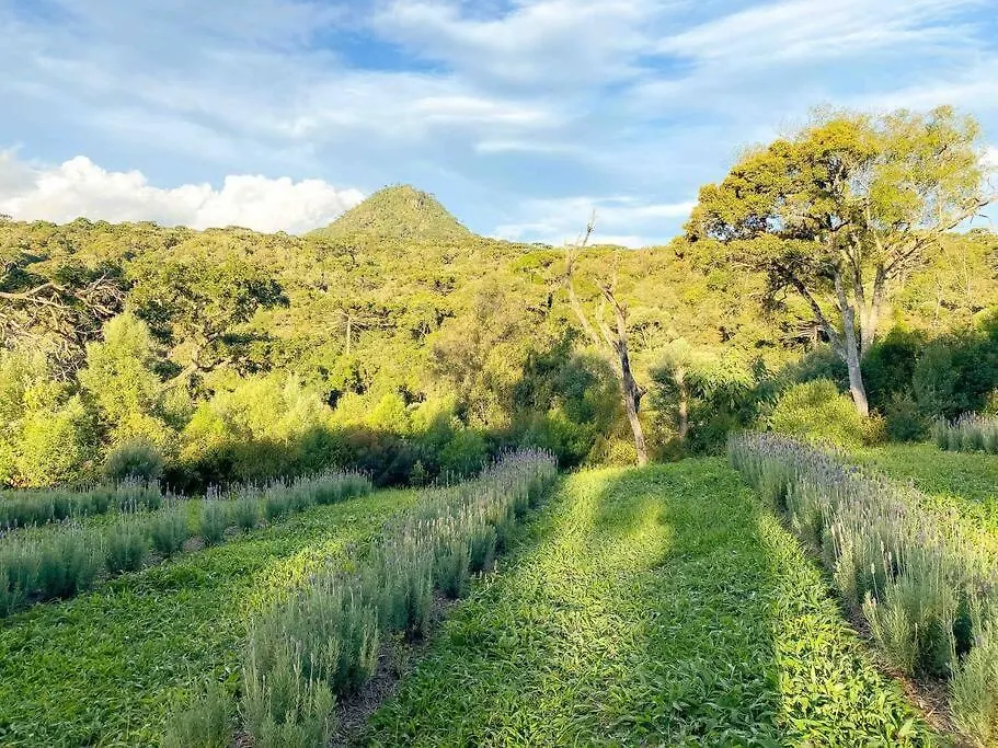 Villa Siena Urubici